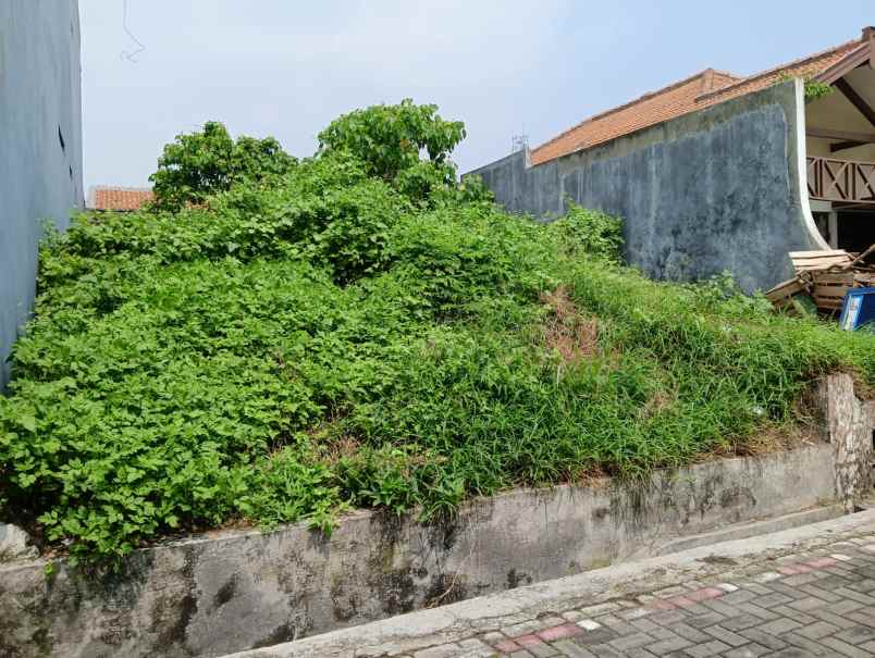 dijual tanah jalan kelinci