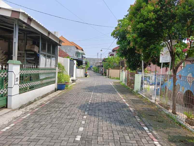 dijual tanah jalan kelinci