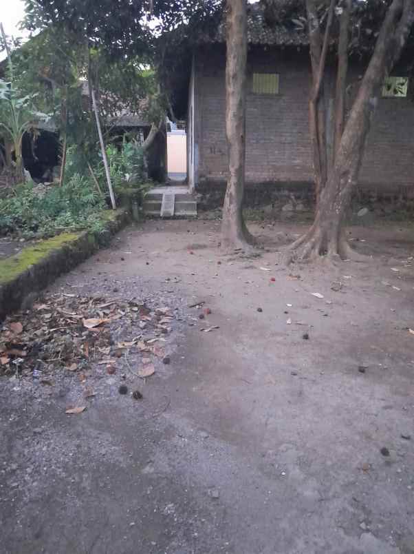 dijual tanah jl damai