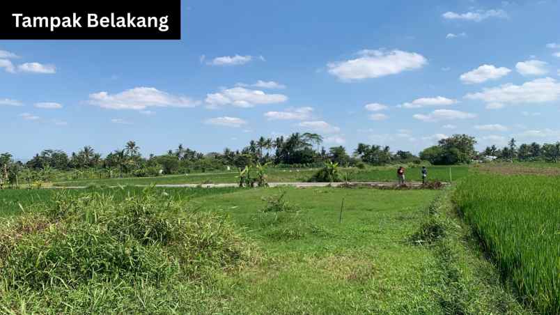dijual tanah jl karanganyar area sawah