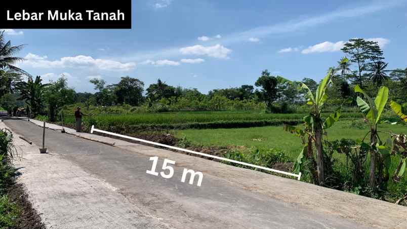 dijual tanah jl karanganyar area sawah