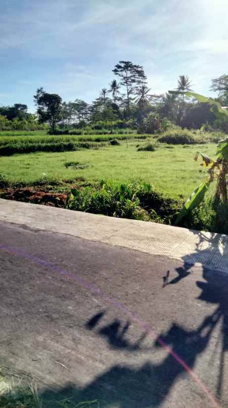 dijual tanah jl karanganyar area sawah