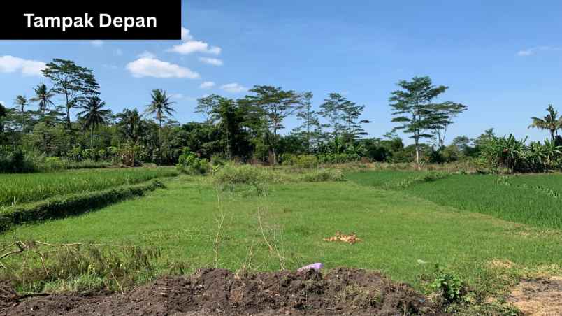 dijual tanah jl karanganyar area sawah