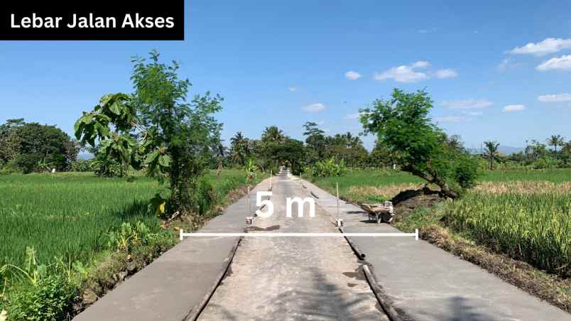 dijual tanah jl karanganyar area sawah