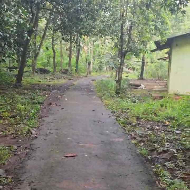 dijual tanah kebun pinggir jalan desa