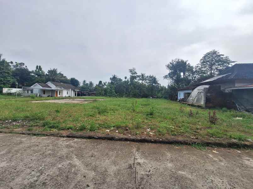 dijual tanah kedungprahu sendangrejo
