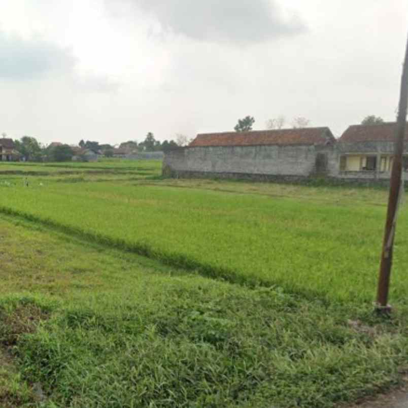 dijual tanah keloran tirnonirmolo kasihan