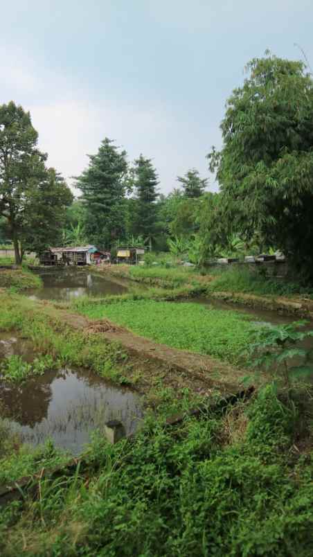 dijual tanah kp cihideung hilir 1 km