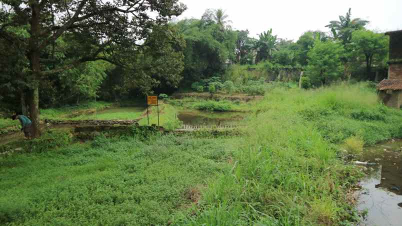 dijual tanah kp cihideung hilir 1 km