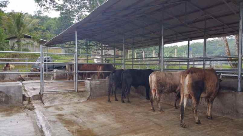 dijual tanah leuwibatu kabupaten bogor