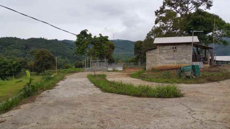 dijual tanah leuwibatu kabupaten bogor