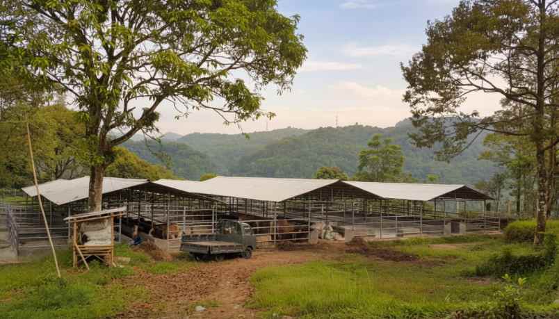 dijual tanah leuwibatu kabupaten bogor