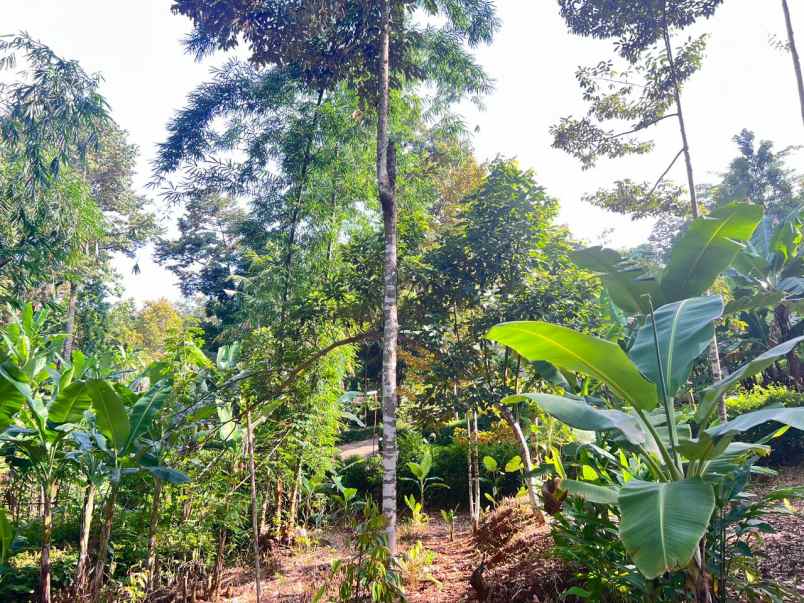 dijual tanah mojogedang karanganyar