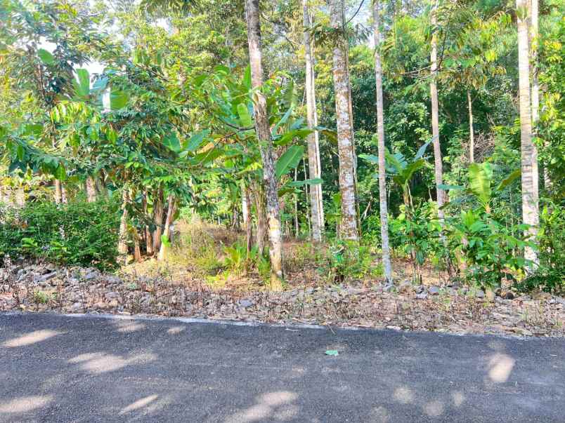 dijual tanah mojogedang karanganyar