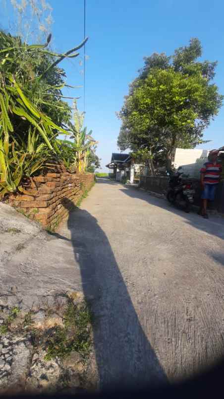 dijual tanah pekarangan murah di delanggu 331 meter