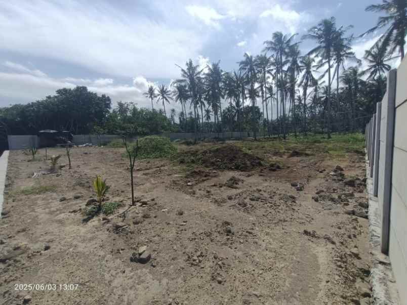 dijual tanah pekutatan jembrana bali