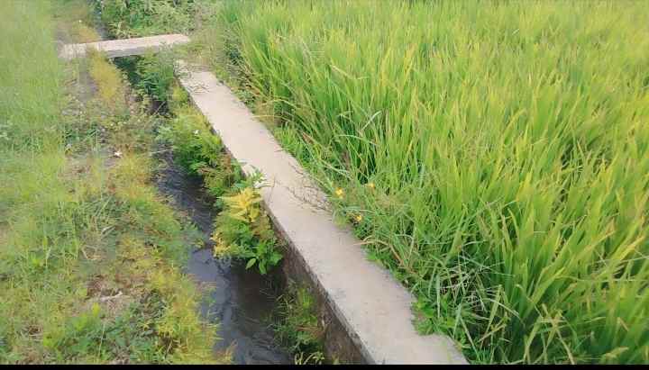 dijual tanah pinggir jl akses mobil di cibuntu cilimus