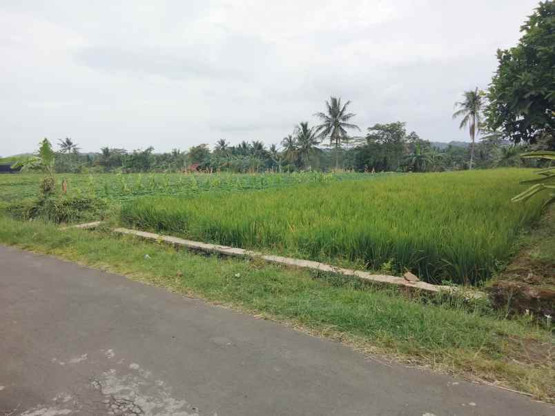 dijual tanah pinggir jl akses mobil di cibuntu cilimus