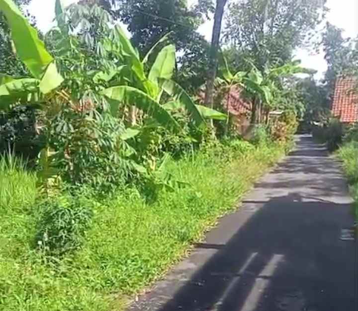 dijual tanah pinggir jl desa lingkungan penduduk