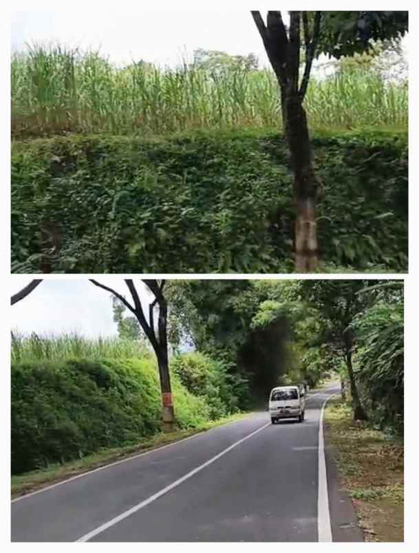 dijual tanah poncokusumo malang