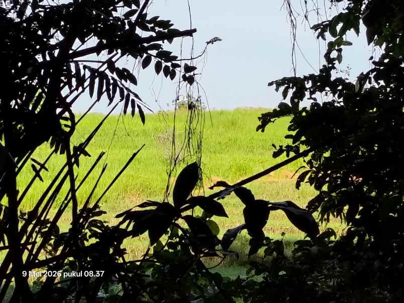 dijual tanah selemadeg tabanan bali