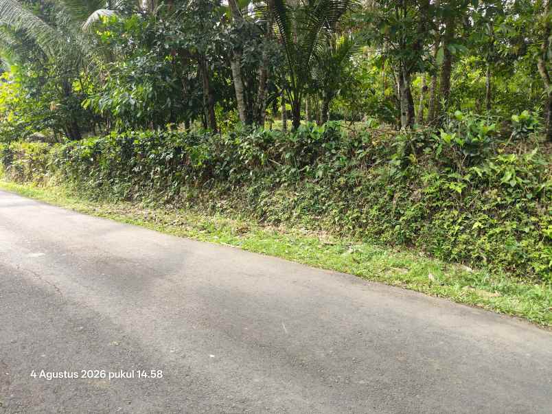 dijual tanah selemadeg tabanan bali