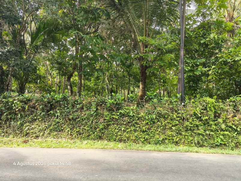 dijual tanah selemadeg tabanan bali