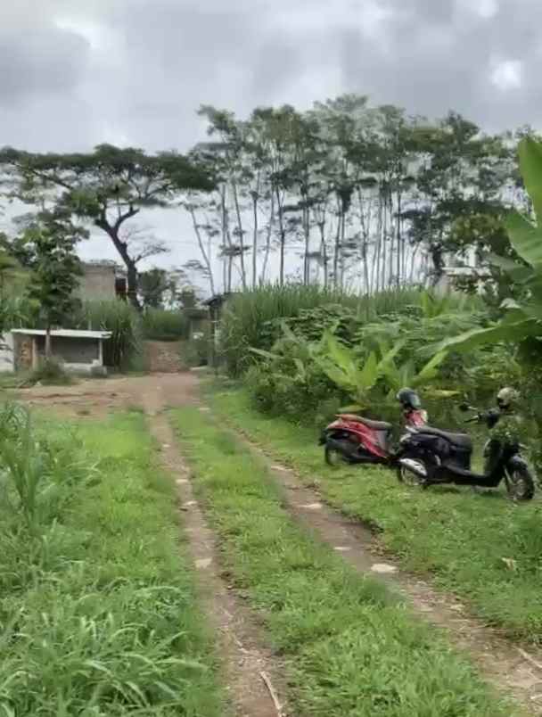 dijual tanah siap bangun jl pakisjajar malang