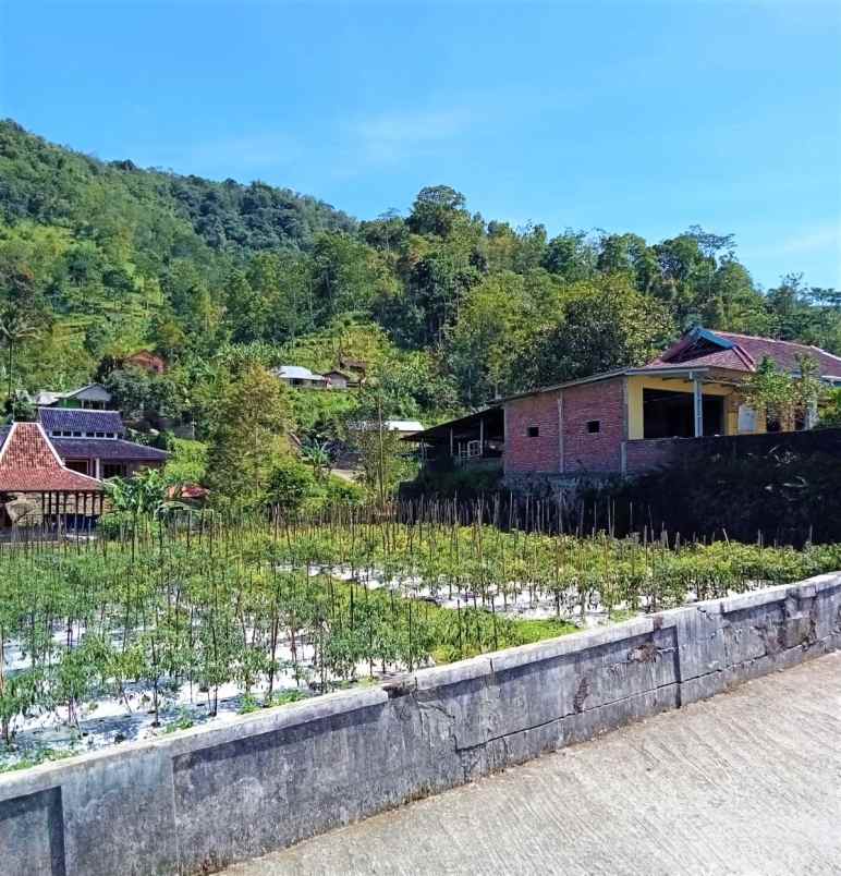 dijual tanah tepi jl kemuning
