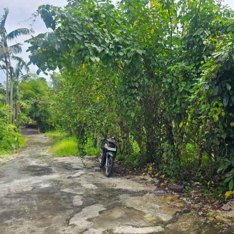 dijual tanah umalas klencung