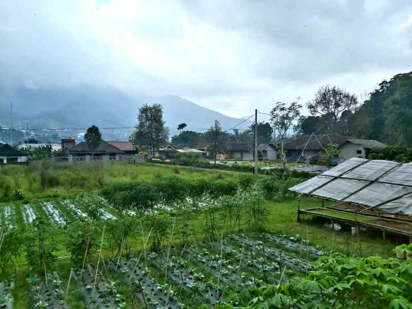 dijual villa jl lembang