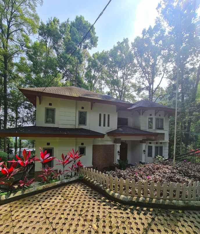 dijual villa puncak