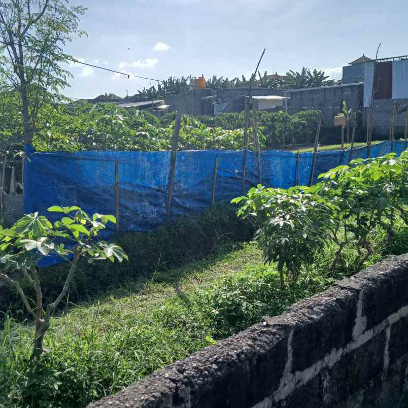 disewakan tanah cargo