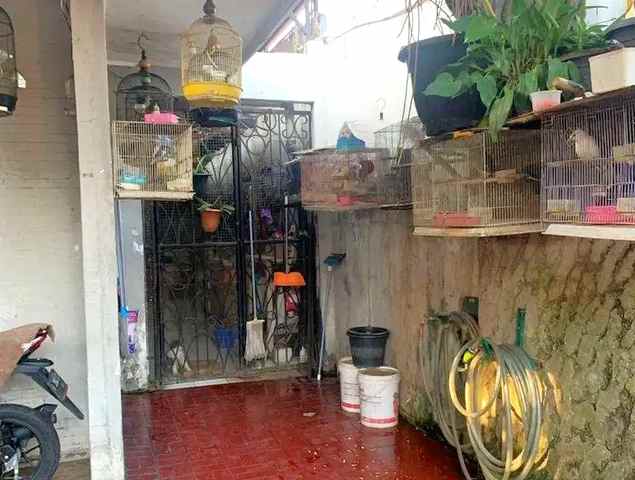 jl menteng wadas selatan 2 lantai ami