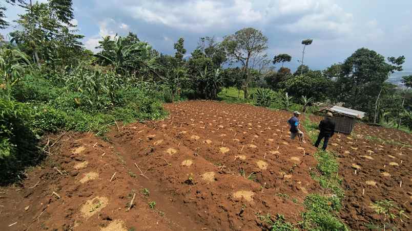 jual cepat tanah istimewa sumedang