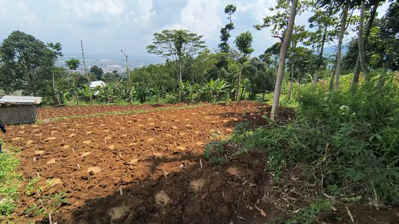 jual cepat tanah istimewa sumedang