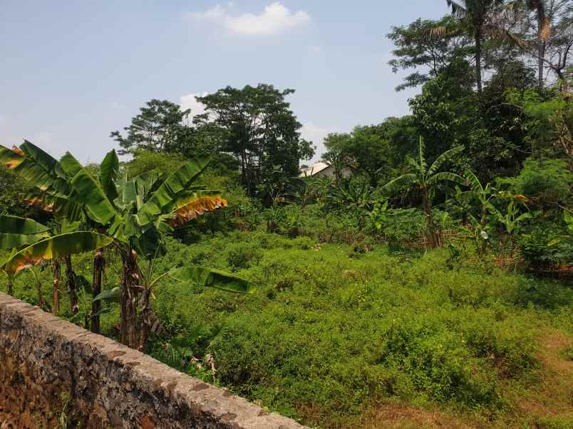 jual tanah atau kebun murah