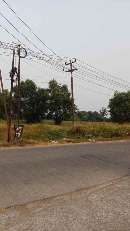 jual tanah murah 11 hektar di karawang