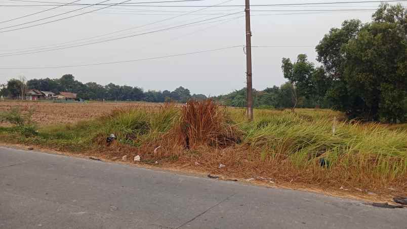 jual tanah murah 11 hektar di karawang