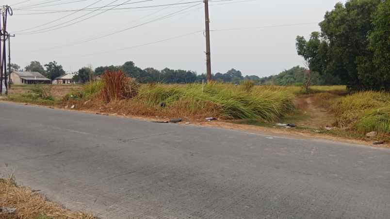 jual tanah murah 11 hektar di karawang