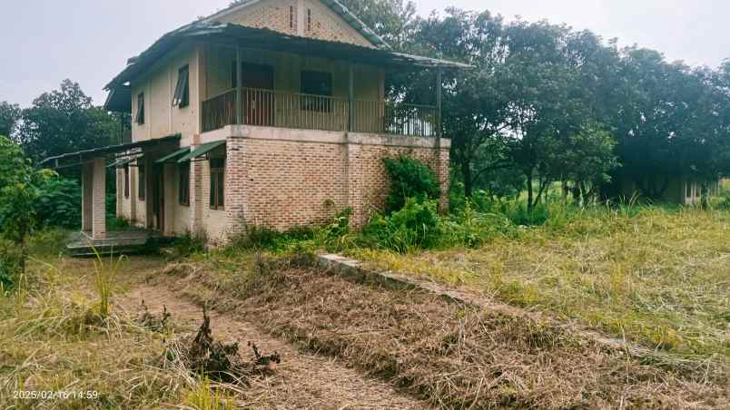 kandang sapi 20 hektar cariu kab bogor