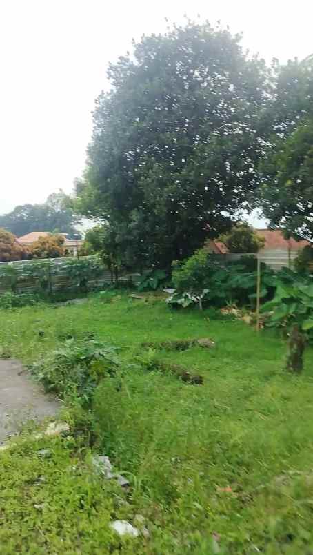 lahan tanah kosong di area villa edelwis