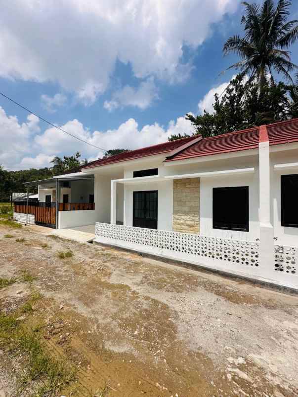 promo rumah baru di sedayu