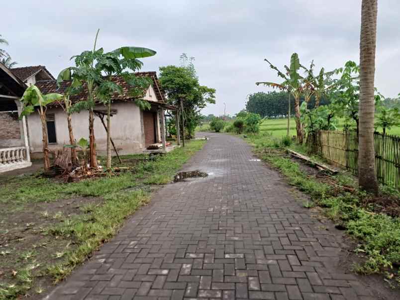 rumah godean 5 menit sma 1 godean luas tanah 332 m2