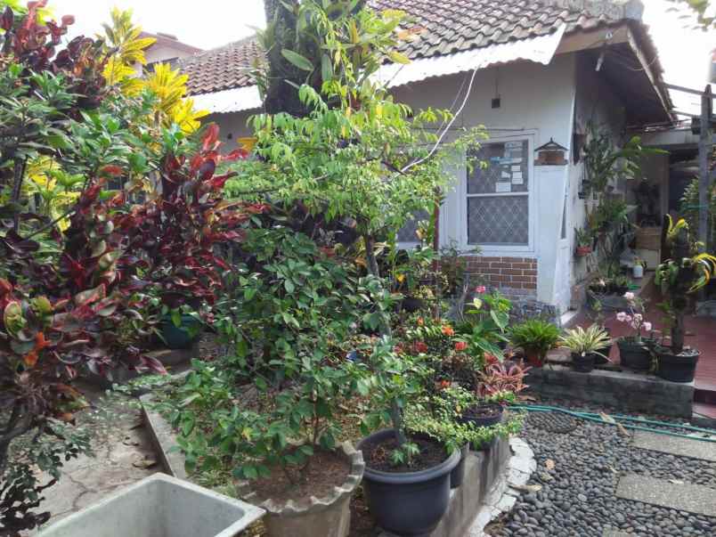 rumah lodaya