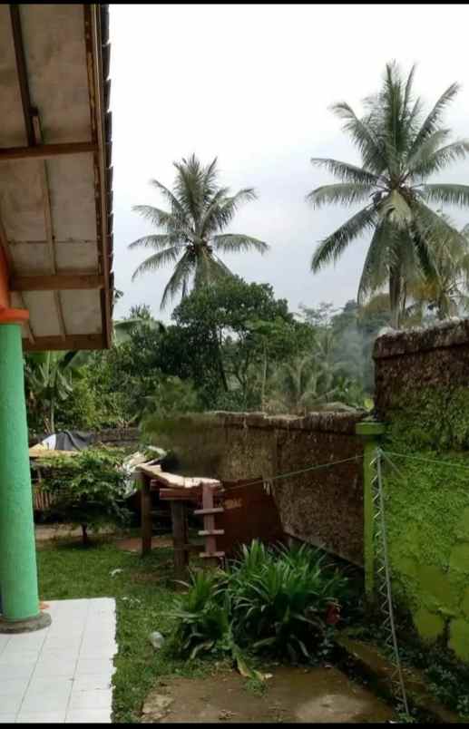 rumah multifungsi tanah luas