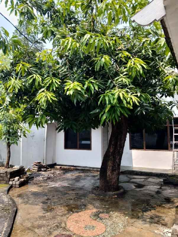 rumah wisma permai row jalan 2 5 mobil hook