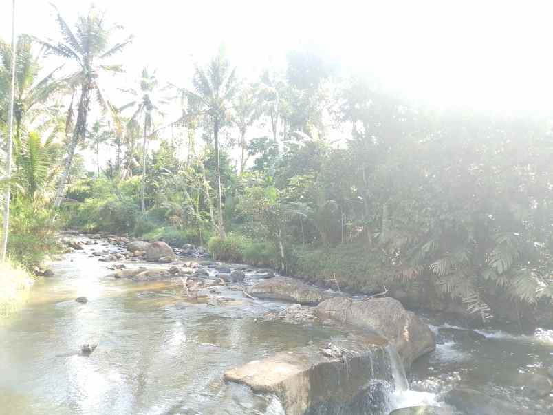 sawah kolam dekat sungai subang jawa barat