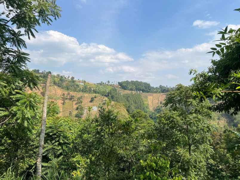 tanah 150 juta udara dingin tawangmangu
