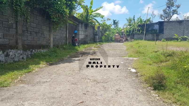 tanah 2 are di sinabun sawan singaraja